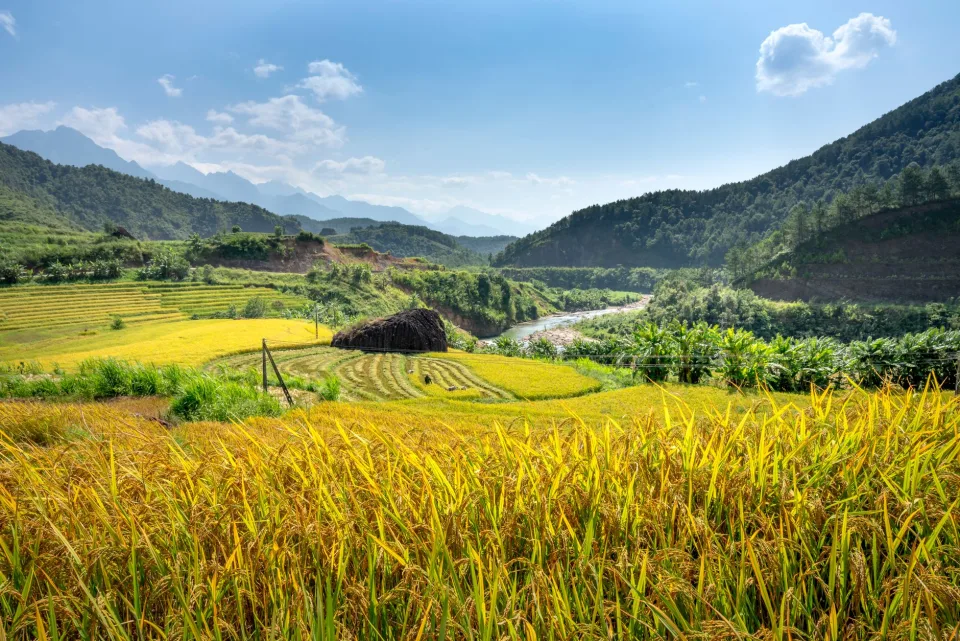 Kho gạo của Palăng Thị Hải Yến